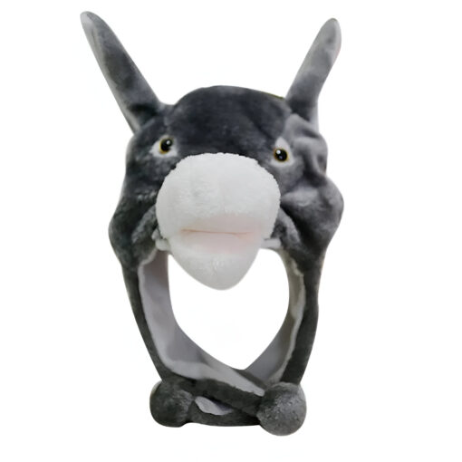 Bonnet Âne